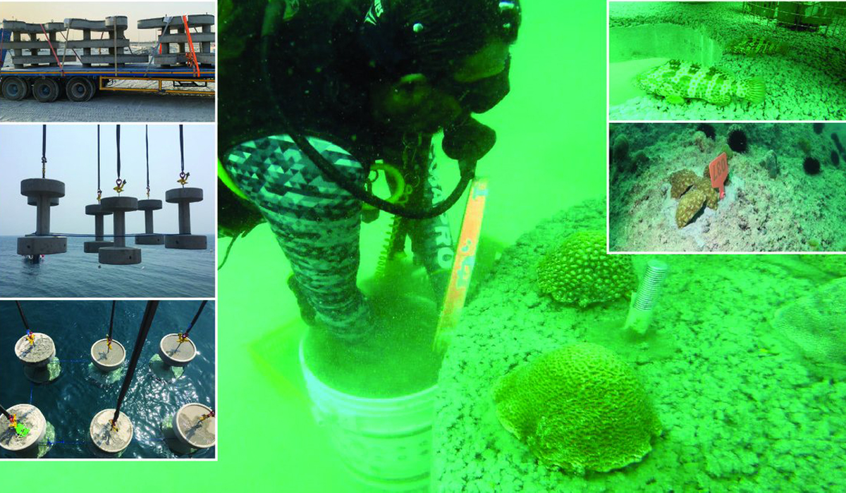 Marine Biodiversity Programme